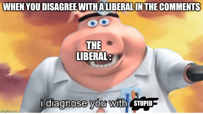 Liberals just insult you when you disagree | WHEN YOU DISAGREE WITH A LIBERAL IN THE COMMENTS; THE LIBERAL :; STUPID | image tagged in i diagnose you with dead,liberals,liberal logic,college liberal,stupid people | made w/ Imgflip meme maker