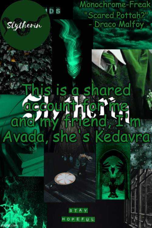 Slytherin temp for monochrome freak | This is a shared account for me and my friend, I'm Avada, she's Kedavra | image tagged in slytherin temp for monochrome freak | made w/ Imgflip meme maker