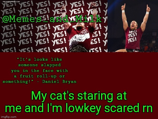Memes and Milk but he's chanting yes | My cat's staring at me and I'm lowkey scared rn | image tagged in memes and milk but he's chanting yes | made w/ Imgflip meme maker