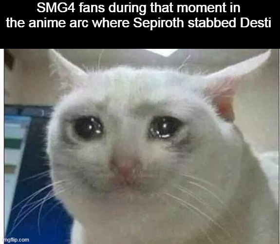 RIP Desti (F&$# Francis) | SMG4 fans during that moment in the anime arc where Sepiroth stabbed Desti | image tagged in crying cat | made w/ Imgflip meme maker