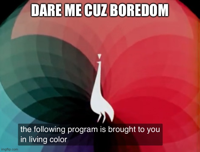 The following program is brought to you in living color | DARE ME CUZ BOREDOM | image tagged in the following program is brought to you in living color | made w/ Imgflip meme maker