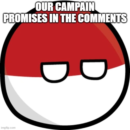 Polandball | OUR CAMPAIN PROMISES IN THE COMMENTS | image tagged in polandball | made w/ Imgflip meme maker