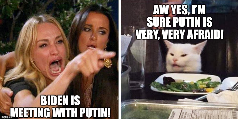 Biden Meeting With Putin! | AW YES, I’M SURE PUTIN IS VERY, VERY AFRAID! BIDEN IS MEETING WITH PUTIN! | image tagged in smudge the cat,biden,putin | made w/ Imgflip meme maker