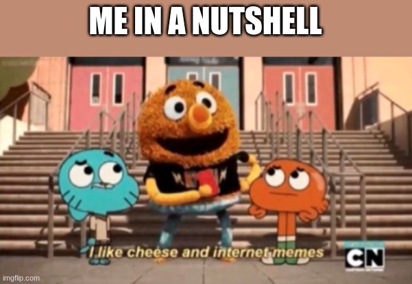 ME IN A NUTSHELL | image tagged in memes,funny | made w/ Imgflip meme maker