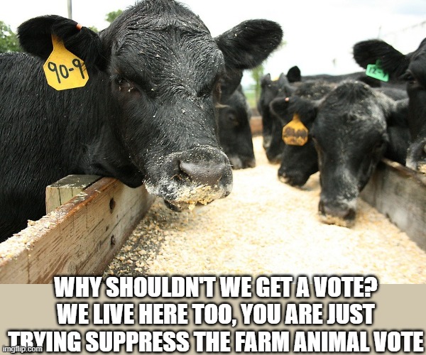 Cow Corn | WHY SHOULDN'T WE GET A VOTE? WE LIVE HERE TOO, YOU ARE JUST TRYING SUPPRESS THE FARM ANIMAL VOTE | image tagged in cow corn | made w/ Imgflip meme maker