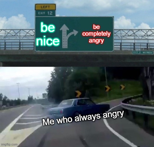 so true | be nice; be completely angry; Me who always angry | image tagged in memes,left exit 12 off ramp | made w/ Imgflip meme maker