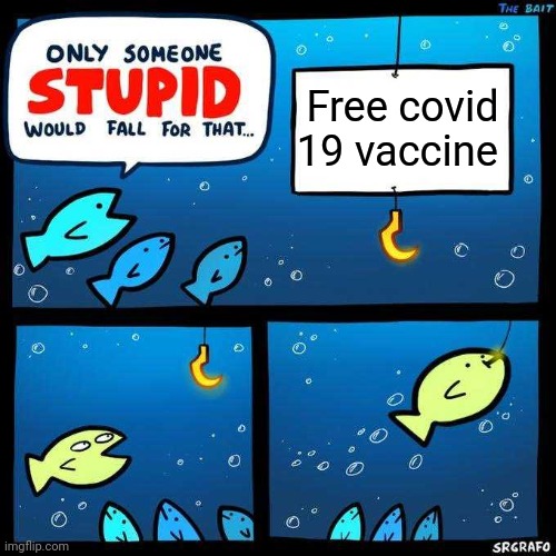 Only someone stupid would fall for that |  Free covid 19 vaccine | image tagged in only someone stupid would fall for that | made w/ Imgflip meme maker