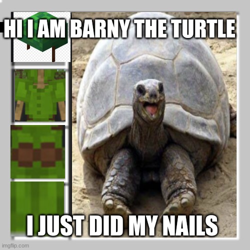 HI I AM BARNY THE TURTLE; I JUST DID MY NAILS | made w/ Imgflip meme maker