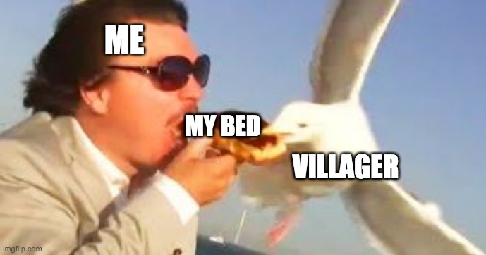 villagers be like | ME; MY BED; VILLAGER | image tagged in swiping seagull | made w/ Imgflip meme maker