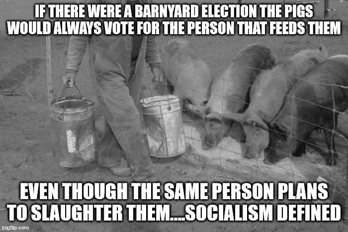 socialism defined | IF THERE WERE A BARNYARD ELECTION THE PIGS WOULD ALWAYS VOTE FOR THE PERSON THAT FEEDS THEM; EVEN THOUGH THE SAME PERSON PLANS TO SLAUGHTER THEM....SOCIALISM DEFINED | image tagged in socialism | made w/ Imgflip meme maker