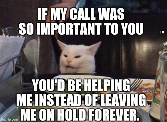 Salad cat | IF MY CALL WAS SO IMPORTANT TO YOU; J M; YOU'D BE HELPING ME INSTEAD OF LEAVING ME ON HOLD FOREVER. | image tagged in salad cat | made w/ Imgflip meme maker