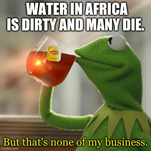 But thats none of my buisness | WATER IN AFRICA IS DIRTY AND MANY DIE. But that's none of my business. | image tagged in memes,but that's none of my business,kermit the frog | made w/ Imgflip meme maker