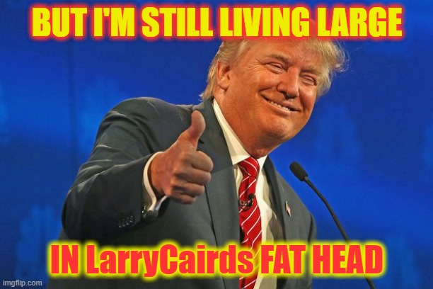 Trump winning smarmy grinning | BUT I'M STILL LIVING LARGE IN LarryCairds FAT HEAD | image tagged in trump winning smarmy grinning | made w/ Imgflip meme maker
