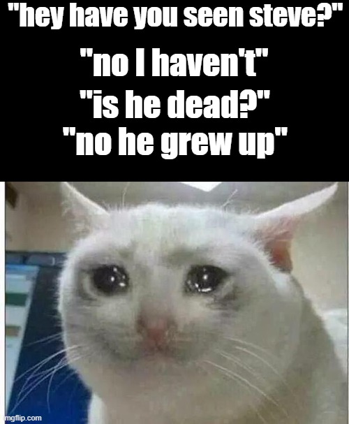 I miss the good ol' days back in 2013. | "hey have you seen steve?"; "no I haven't"; "is he dead?"; "no he grew up" | image tagged in crying cat,minecraft,minecraft steve | made w/ Imgflip meme maker