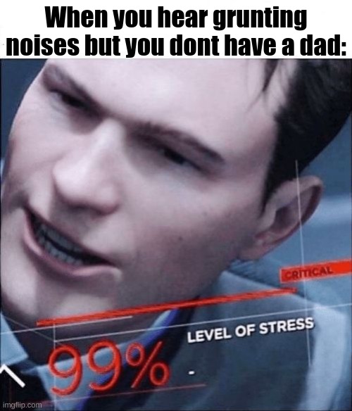 waitaminute | When you hear grunting noises but you dont have a dad: | image tagged in 99 level of stress | made w/ Imgflip meme maker