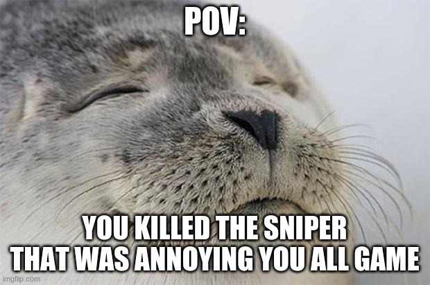 when you kill that annoying guy with a sniper | POV:; YOU KILLED THE SNIPER THAT WAS ANNOYING YOU ALL GAME | image tagged in memes,satisfied seal | made w/ Imgflip meme maker