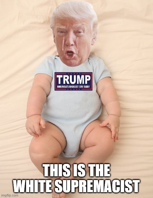 Crying Trump Baby | THIS IS THE WHITE SUPREMACIST | image tagged in crying trump baby | made w/ Imgflip meme maker