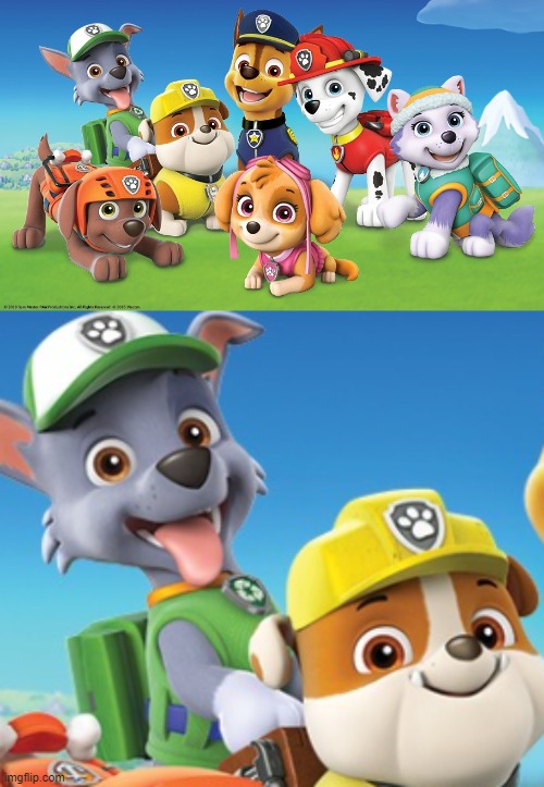 WHAT THE F- | image tagged in paw patrol | made w/ Imgflip meme maker