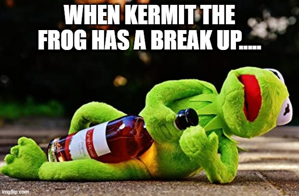 When Kermit the frog has a break up | WHEN KERMIT THE FROG HAS A BREAK UP..... | image tagged in kermit the frog,drinking,drunk | made w/ Imgflip meme maker