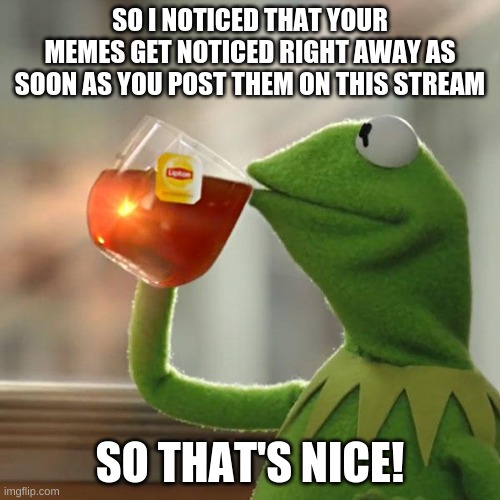 That's cool :) | SO I NOTICED THAT YOUR MEMES GET NOTICED RIGHT AWAY AS SOON AS YOU POST THEM ON THIS STREAM; SO THAT'S NICE! | image tagged in memes,but that's none of my business,kermit the frog,cool | made w/ Imgflip meme maker