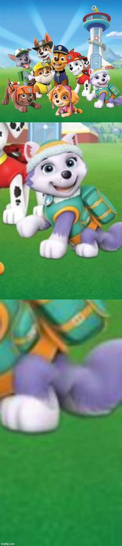 wtf is wrong with her leg | image tagged in paw patrol | made w/ Imgflip meme maker