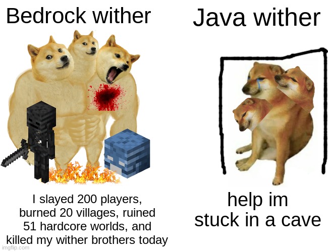 bedrock wither vs java wither | Bedrock wither; Java wither; I slayed 200 players, burned 20 villages, ruined 51 hardcore worlds, and killed my wither brothers today; help im stuck in a cave | image tagged in memes,buff doge vs cheems,minecraft | made w/ Imgflip meme maker