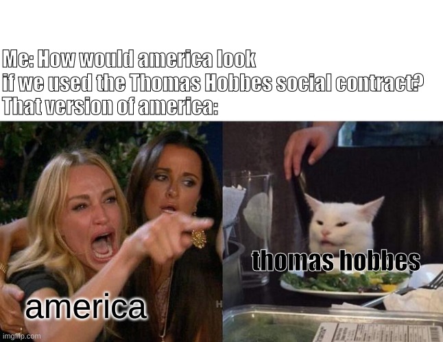 Thomas Hobbes social contract. |  Me: How would america look 
if we used the Thomas Hobbes social contract? 
That version of america:; thomas hobbes; america | image tagged in memes,woman yelling at cat | made w/ Imgflip meme maker