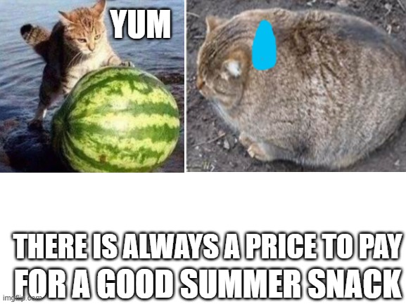 Catermelon |  YUM; THERE IS ALWAYS A PRICE TO PAY; FOR A GOOD SUMMER SNACK | image tagged in cat eating melon,fat cat,watermelon cat,watermelon,cat memes,cat | made w/ Imgflip meme maker