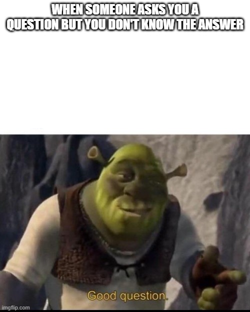 Shrek | WHEN SOMEONE ASKS YOU A QUESTION BUT YOU DON'T KNOW THE ANSWER | image tagged in shrek | made w/ Imgflip meme maker