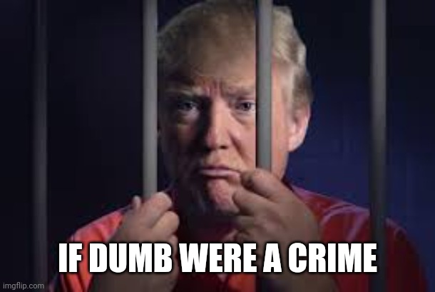 Trump jail | IF DUMB WERE A CRIME | image tagged in trump jail | made w/ Imgflip meme maker