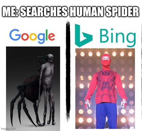 Google v. Bing |  ME: SEARCHES HUMAN SPIDER | image tagged in google v bing,spiderman,spiderman peter parker,animal,hybrid | made w/ Imgflip meme maker