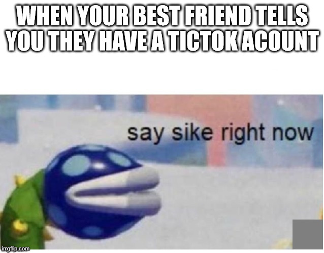 memes or tictoks |  WHEN YOUR BEST FRIEND TELLS YOU THEY HAVE A TICTOK ACOUNT | image tagged in say sike right now | made w/ Imgflip meme maker