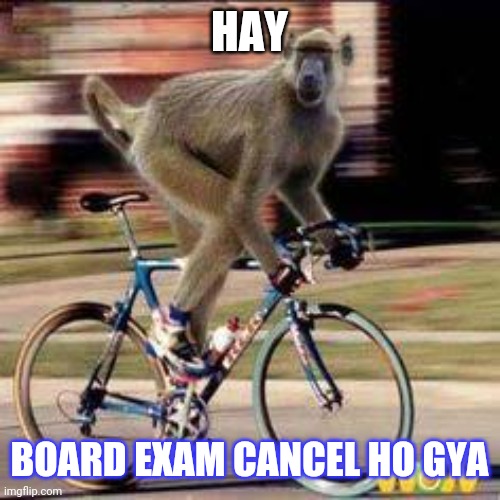  HAY; BOARD EXAM CANCEL HO GYA | image tagged in monkey birthday bike | made w/ Imgflip meme maker