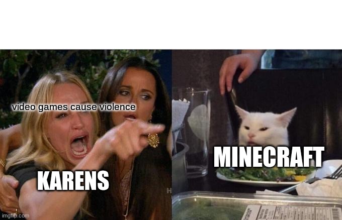 Woman Yelling At Cat |  video games cause violence; MINECRAFT; KARENS | image tagged in memes,woman yelling at cat | made w/ Imgflip meme maker