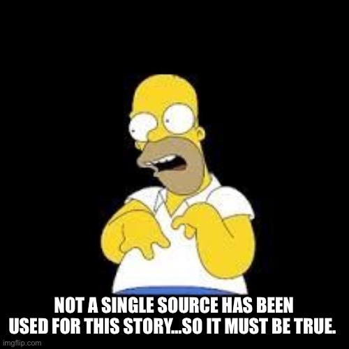 Look Marge | NOT A SINGLE SOURCE HAS BEEN USED FOR THIS STORY…SO IT MUST BE TRUE. | image tagged in look marge | made w/ Imgflip meme maker