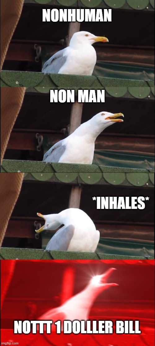 no it.. it cant be | NONHUMAN; NON MAN; *INHALES*; NOTTT 1 DOLLLER BILL | image tagged in memes,inhaling seagull | made w/ Imgflip meme maker