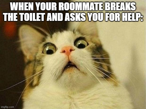 Scared Cat Meme | WHEN YOUR ROOMMATE BREAKS THE TOILET AND ASKS YOU FOR HELP: | image tagged in memes,scared cat | made w/ Imgflip meme maker