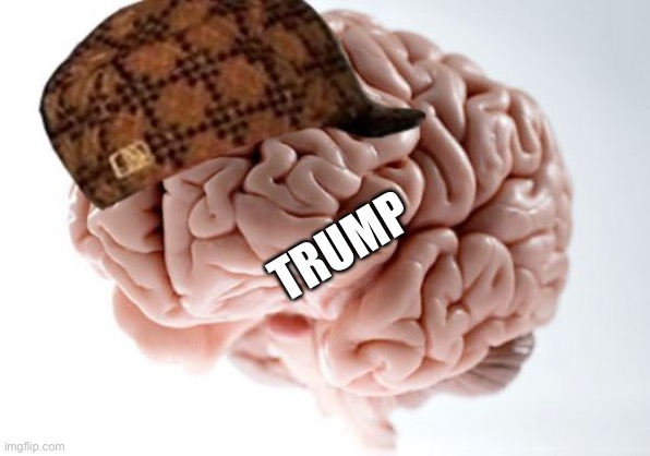 Scumbag Brain Meme | TRUMP | image tagged in memes,scumbag brain | made w/ Imgflip meme maker