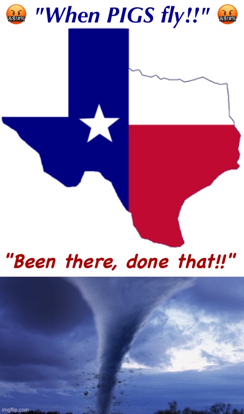 When PIGS FLY!! | 🤬 "When PIGS fly!!" 🤬; "Been there, done that!!" | image tagged in sayings,texas,tornado,weather,dark humor,rick75230 | made w/ Imgflip meme maker