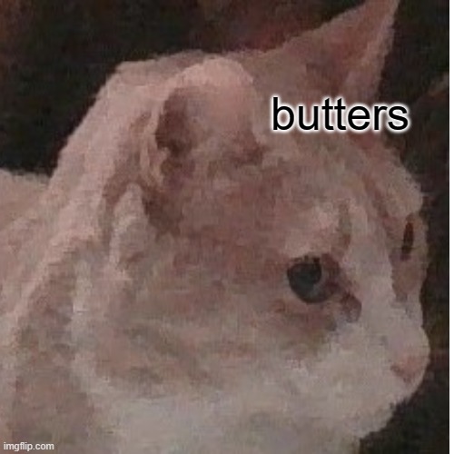 butters | made w/ Imgflip meme maker