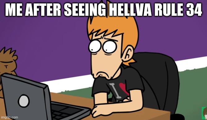 Matt shocked of the computer | ME AFTER SEEING HELLVA RULE 34 | image tagged in matt shocked of the computer | made w/ Imgflip meme maker