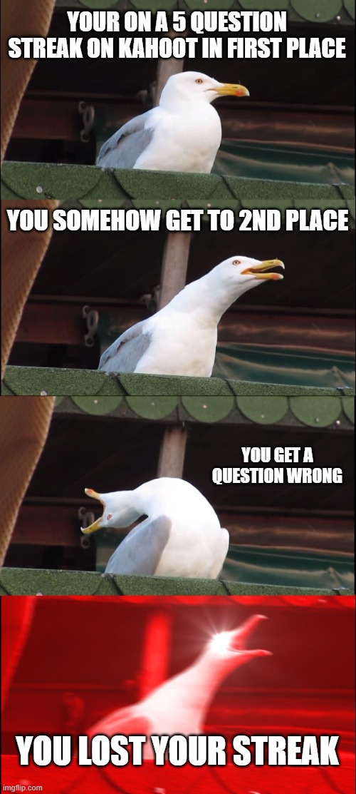 Kahoot be like | YOUR ON A 5 QUESTION STREAK ON KAHOOT IN FIRST PLACE; YOU SOMEHOW GET TO 2ND PLACE; YOU GET A QUESTION WRONG; YOU LOST YOUR STREAK | image tagged in memes,inhaling seagull,kahoot | made w/ Imgflip meme maker