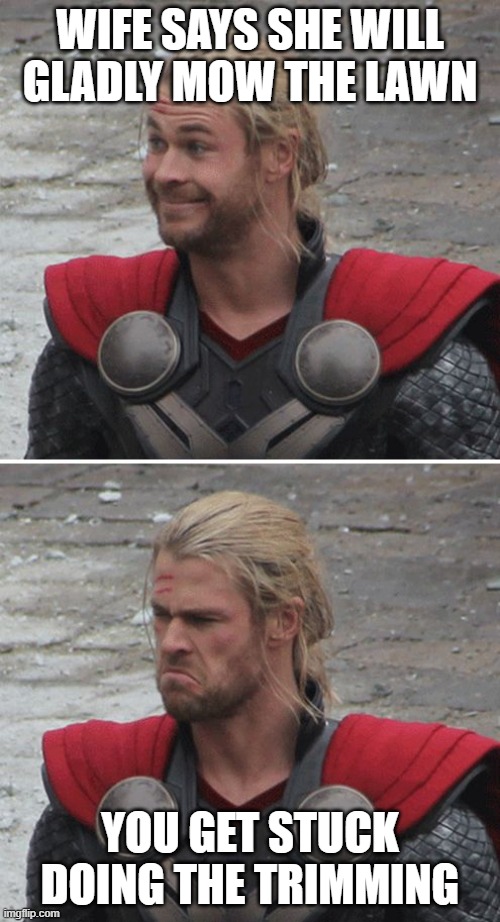 thor no happy | WIFE SAYS SHE WILL GLADLY MOW THE LAWN; YOU GET STUCK DOING THE TRIMMING | image tagged in thor happy then sad | made w/ Imgflip meme maker