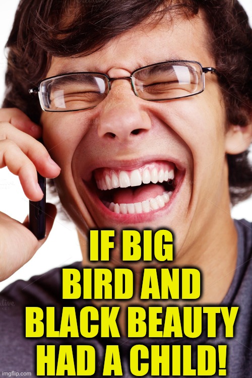 LOL | IF BIG BIRD AND BLACK BEAUTY HAD A CHILD! | image tagged in lol | made w/ Imgflip meme maker