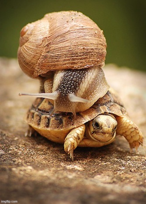 Slow Day | image tagged in slow day | made w/ Imgflip meme maker