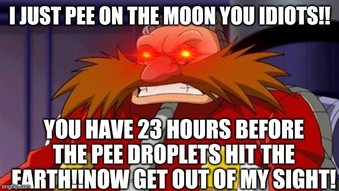 Eggman!Why are you so cocky? | I JUST PEE ON THE MOON YOU IDIOTS!! YOU HAVE 23 HOURS BEFORE THE PEE DROPLETS HIT THE EARTH!!NOW GET OUT OF MY SIGHT! | image tagged in dr eggman,destruction,sonic x | made w/ Imgflip meme maker