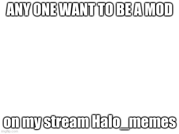 Blank White Template | ANY ONE WANT TO BE A MOD; on my stream Halo_memes | image tagged in blank white template | made w/ Imgflip meme maker