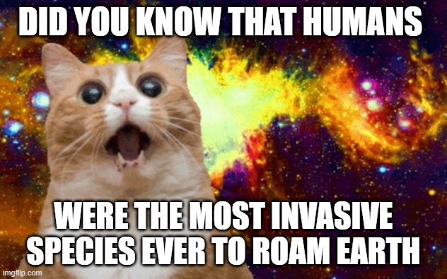  DID YOU KNOW THAT HUMANS; WERE THE MOST INVASIVE SPECIES EVER TO ROAM EARTH | image tagged in mind blown cat | made w/ Imgflip meme maker