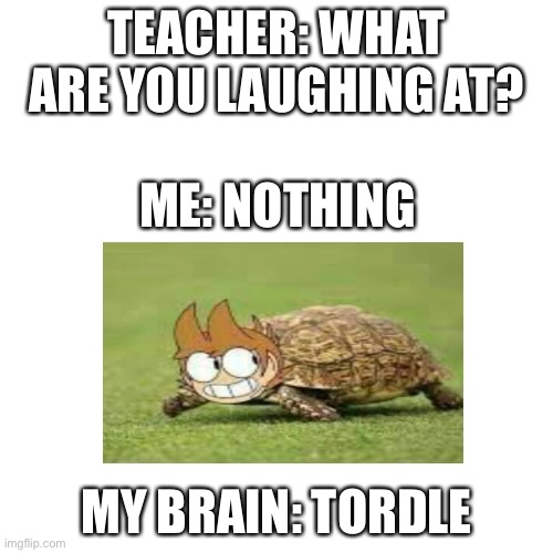 tordle | TEACHER: WHAT ARE YOU LAUGHING AT? ME: NOTHING; MY BRAIN: TORDLE | image tagged in memes,blank transparent square,eddsworld,funny,funny memes,weird | made w/ Imgflip meme maker