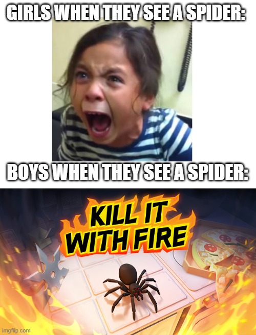 Its just a spider | GIRLS WHEN THEY SEE A SPIDER:; BOYS WHEN THEY SEE A SPIDER: | image tagged in blank white template | made w/ Imgflip meme maker